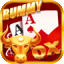 rummy knock icon